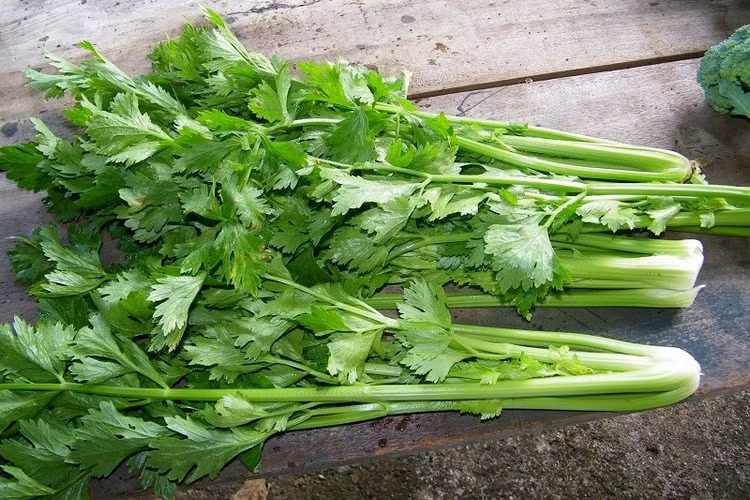 can-tay.jpg