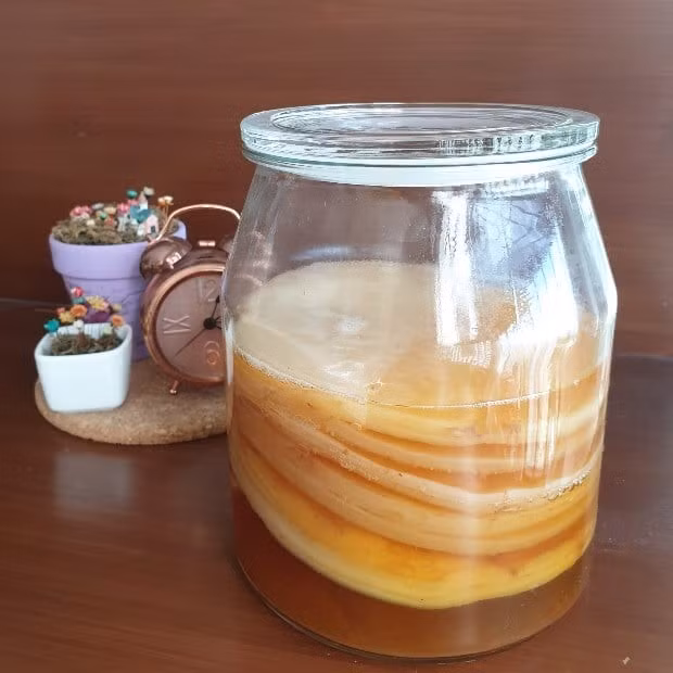 kombucha.jpg