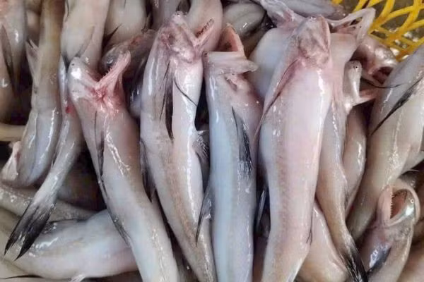 ca-khoai4.jpg