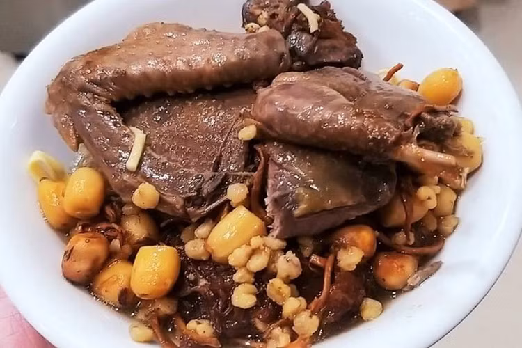 thi-chim-bo-cau.png