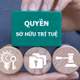 Thủ tướng yêu cầu triệt phá website phim nhạc lậu