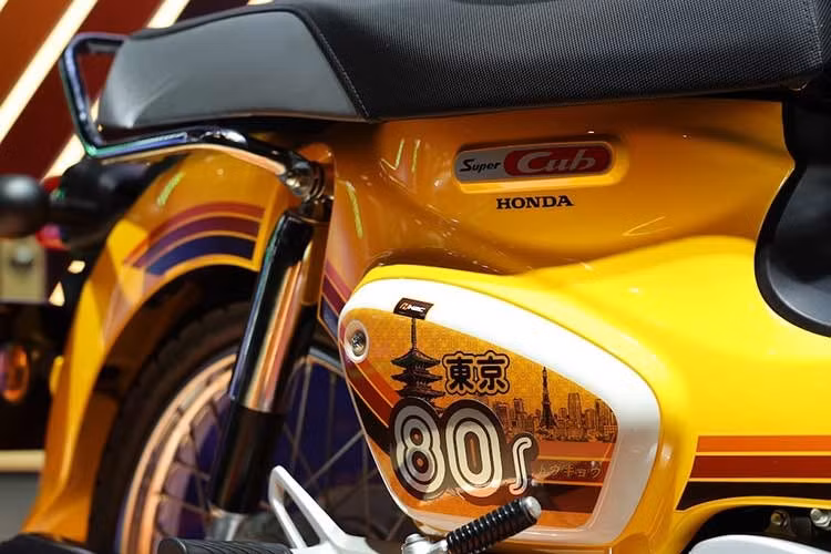 6-7953.jpg