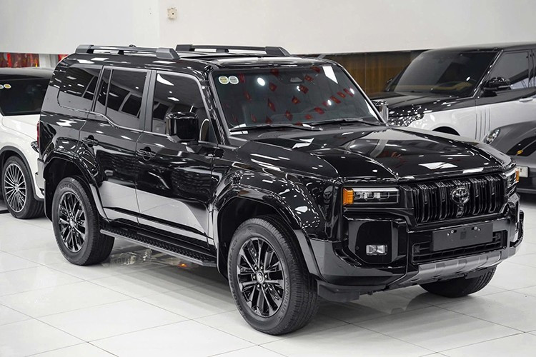 Toyota Land Cruiser Prado is out of date and 1-2164.jpg