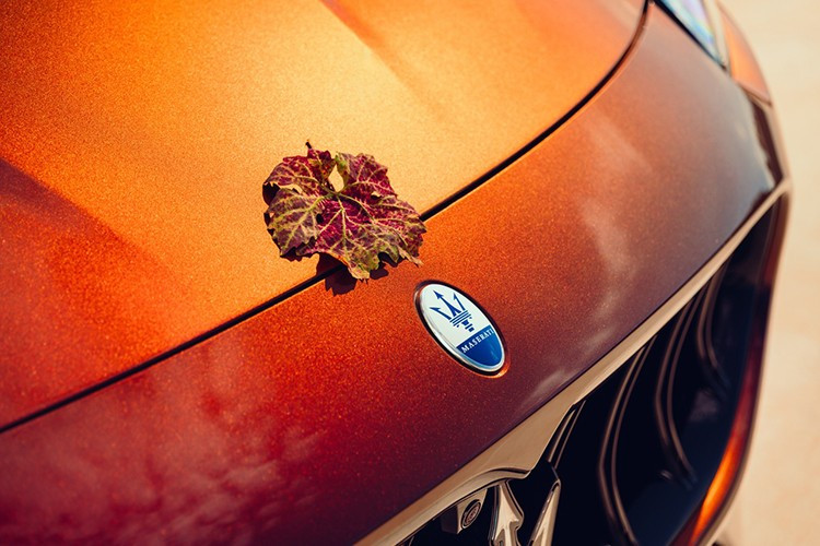 Maserati Grecale Tributo Il Bruciato – это результат сотрудничества Дома Trident и Marchesi Antinori – одной из старейших и самых уважаемых семей виноделов Il Bruciato (Болгери) в мире. Дизайн, начиная с цвета кузова и заканчивая самим дизайном, вдохновлён природой и сбором винограда. 3-2416.jpg