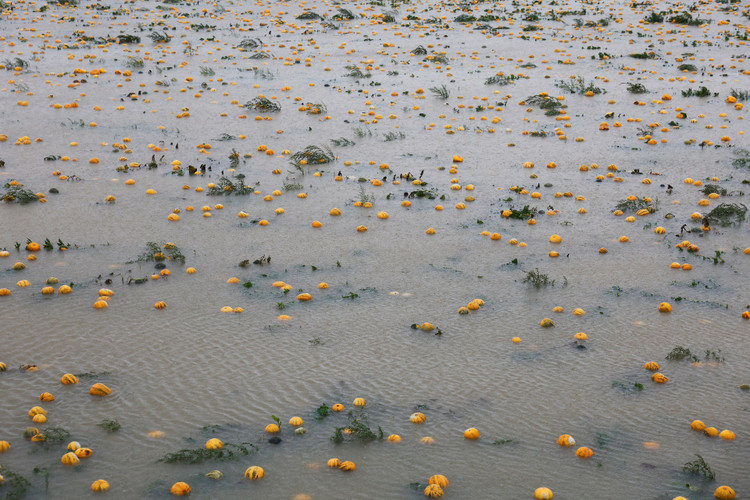 Aftermath of heavy rainfall in Austria
