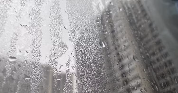 Nồm ẩm ảnh hưởng nhiều tới sức khỏe - Ảnh minh họa Nồm ẩm ảnh hưởng nhiều tới sức khỏe - Ảnh minh họa