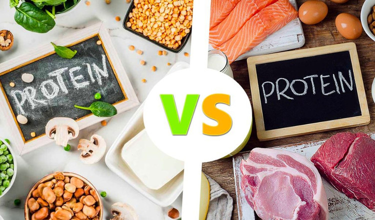 Protein là một chất dinh dưỡng đa lượng rất cần thiết để tạo nên các thành phần trong cơ thể