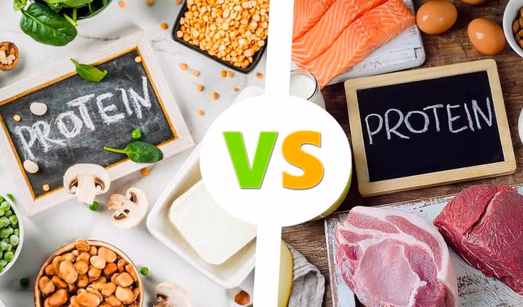 Protein là một chất dinh dưỡng đa lượng rất cần thiết để tạo nên các thành phần trong cơ thể