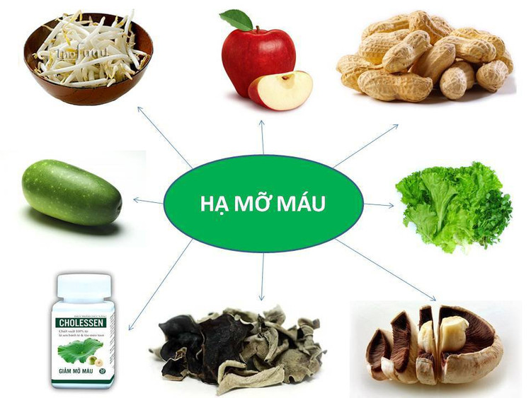 Thực phẩm giúp hạ mỡ máu