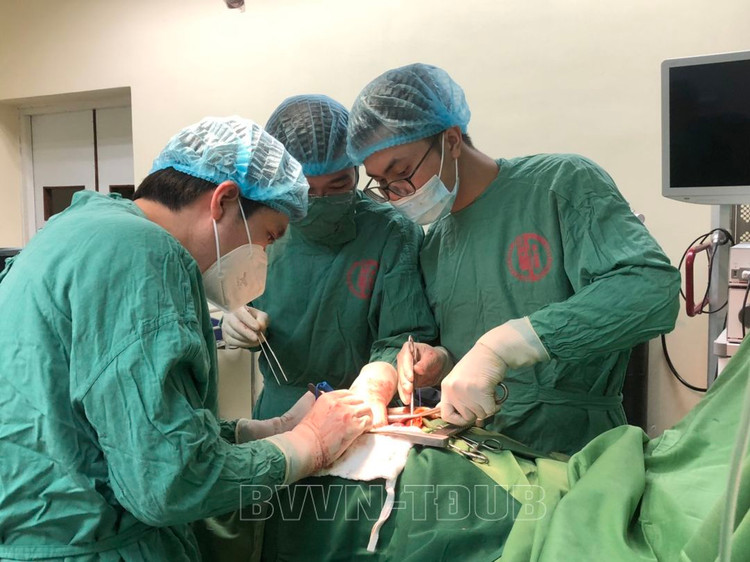 Không có vết thương nhưng vỡ túi mật ảnh 1