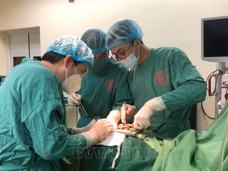 Không có vết thương nhưng vỡ túi mật ảnh 1 Không có vết thương nhưng vỡ túi mật ảnh 1