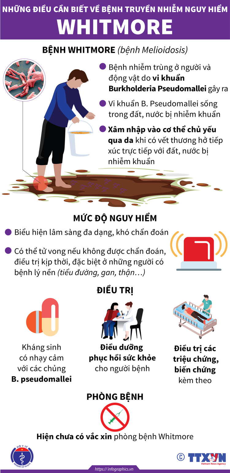 Bộ Y tế khuyến cáo cộng đồng phòng chống bệnh Whitmore ảnh 1