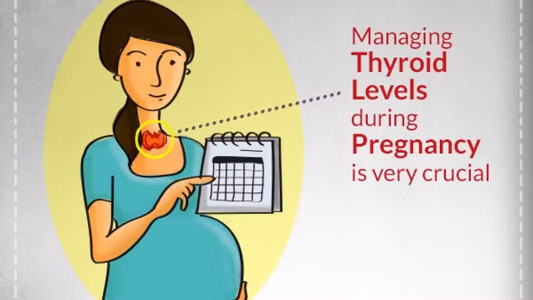 Bác sĩ chỉ rõ những điều cần chú ý khi bị bệnh tuyến giáp mang thai - Ảnh BSCC