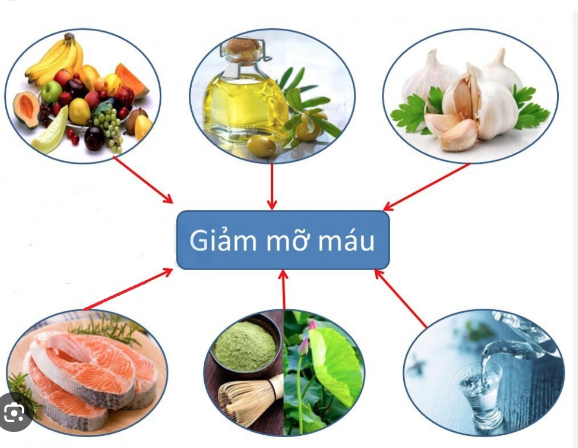 Bác sĩ mách cách giảm mỡ máu bằng những thực phẩm có trong tủ lạnh -Ảnh minh họa
