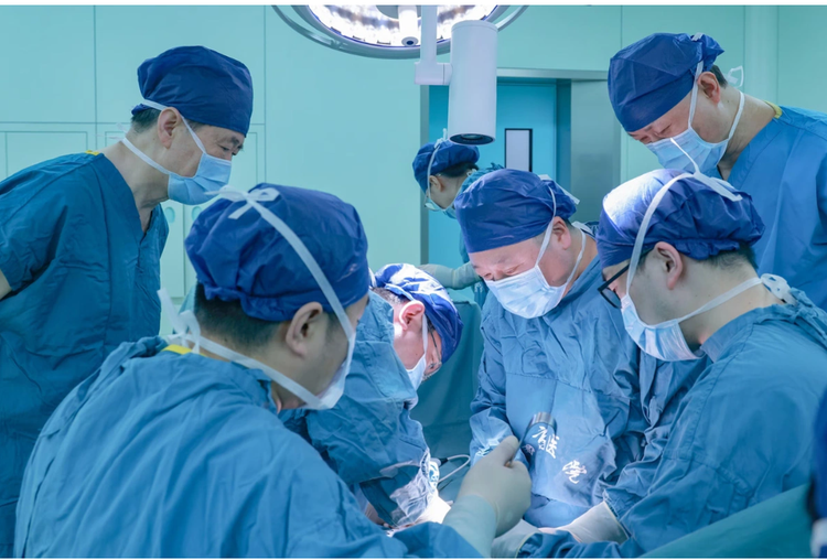 Ca phẫu thuật ghép thận heo vào người nhận đã chết não tại Trung Quốc - Ảnh: Bệnh viện XIJING/XINHUA NEWS AGENCY/EYEVINE/REDUX