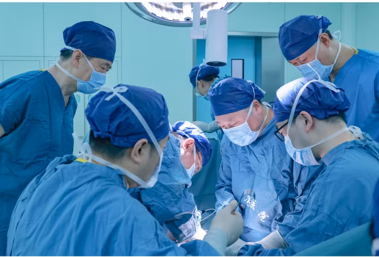 Ca phẫu thuật ghép thận heo vào người nhận đã chết não tại Trung Quốc - Ảnh: Bệnh viện XIJING/XINHUA NEWS AGENCY/EYEVINE/REDUX