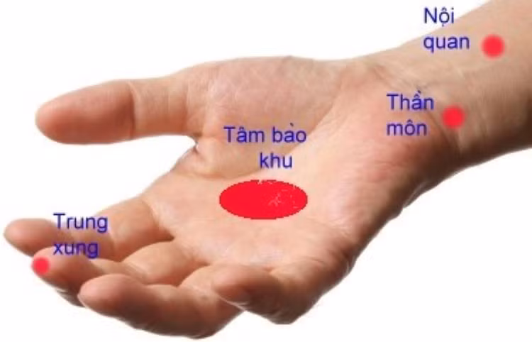 Vị trí các huyệt có tác động tới tim