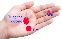 Vùng va huyệt điểm có liên quan đến tim