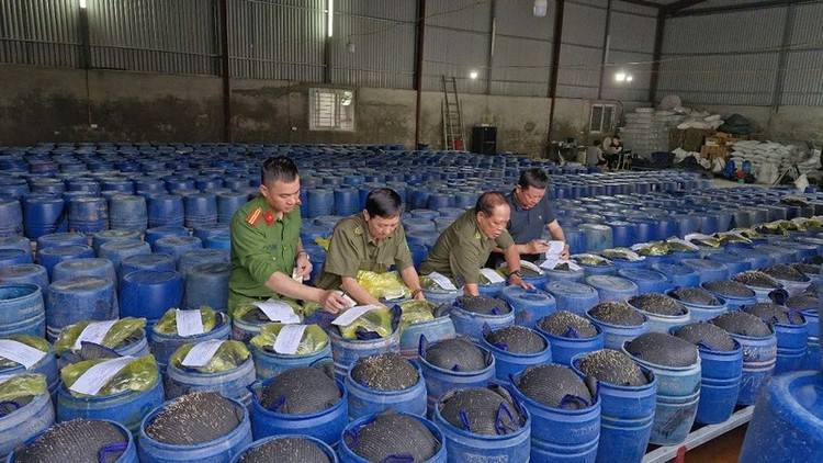 Lực lượng chức năng tiến hành niêm phong tang vật. Ảnh: CANA