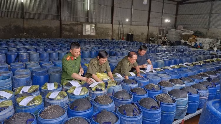 Lực lượng chức năng tiến hành niêm phong tang vật. Ảnh: CANA