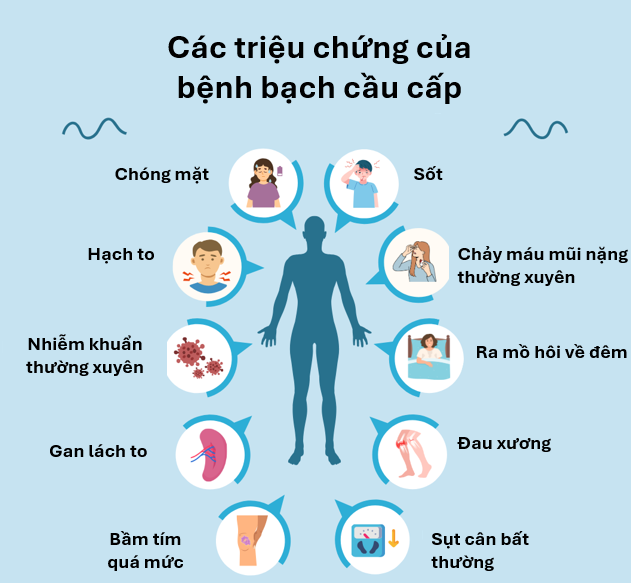 Các triệu chứng của bệnh bạch cầu cấp - Ảnh BVCC