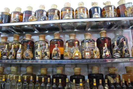 Luận bàn về tửu và cách dùng rượu thuốc giúp người già trường thọ ảnh 1