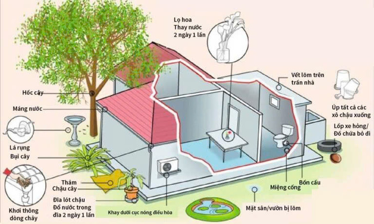 Những nơi trú ẩn và sinh sôi của muỗi vằn - Ảnh BVCC