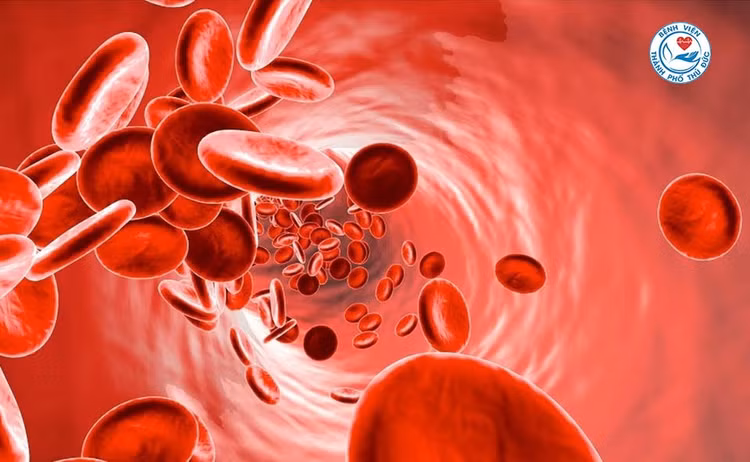 50% phụ nữ trẻ thiếu máu, thiếu sắt, hậu COVID-19 cần được quan tâm đúng mức.