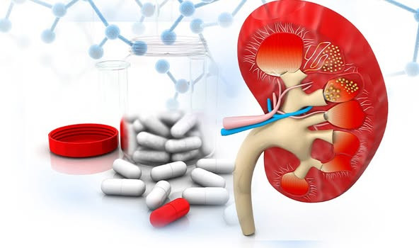 Cách phòng tránh suy thận, hậu quả từ việc dùng thuốc không theo chỉ định - Ảnh BVCC