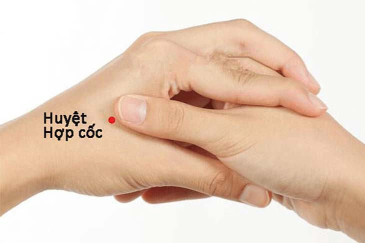 Huyệt Hợp cốc