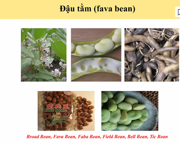 Trẻ bị bệnh thiếu men G6PD tránh ăn đậu tằm