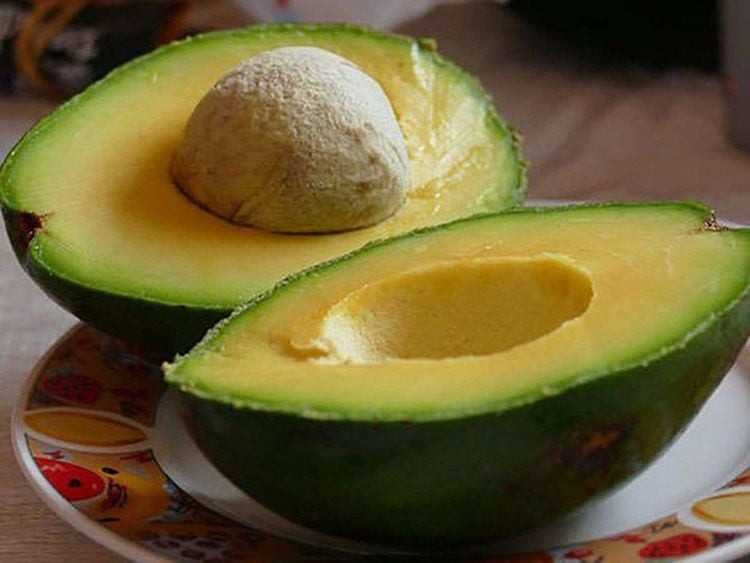 Quả bơ rất giàu dinh dưỡng - Ảnh minh họa