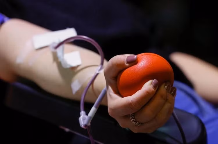 Anh: Lần đầu tiên truyền máu nuôi trong phòng thí nghiệm cho người