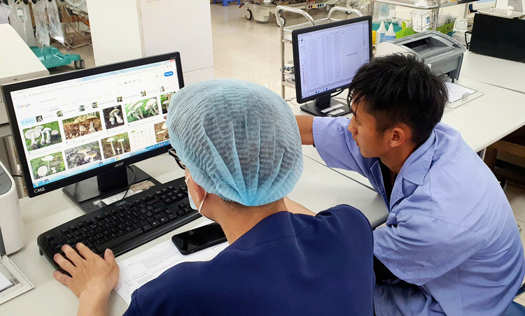 Bác sĩ Trung tâm Chống độc cùng người nhà bệnh nhân tìm hiểu về loại nấm đã ăn - Ảnh BVCC