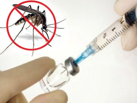 Điều cần biết về vắc xin phòng sốt xuất huyết ảnh 2