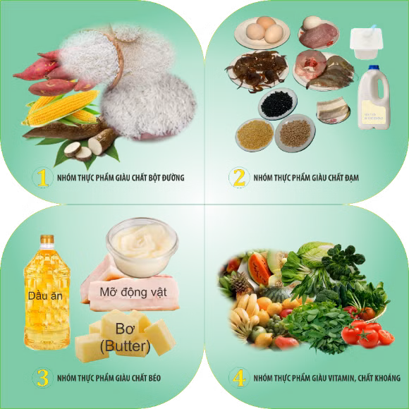 Nhóm thực phẩm tốt cho não bộ