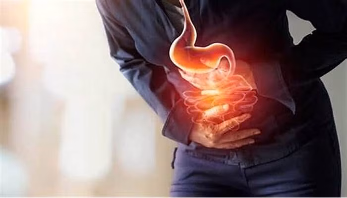 Rối loạn tiêu hóa gây ảnh hưởng xấu đến quá trình tiêu hóa và hấp thu thức ăn - Ảnh BVCC