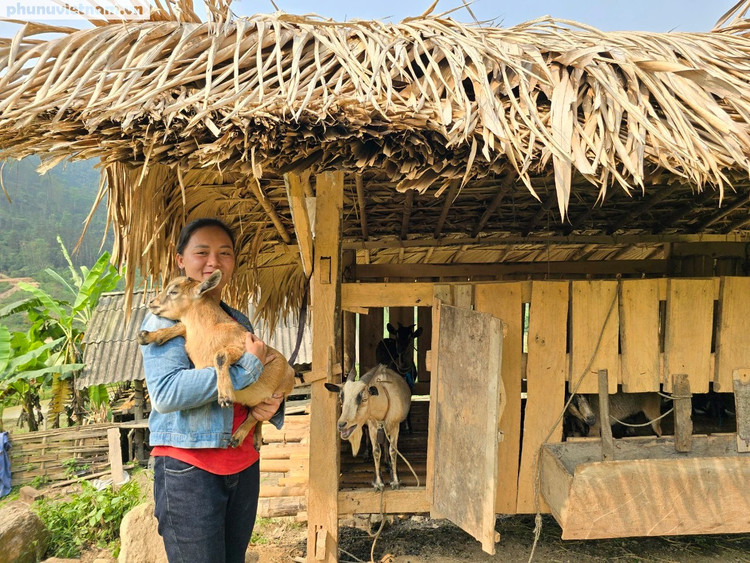 Chị Lý Thị Diện và những chú dê chuẩn bị xuất chuồng