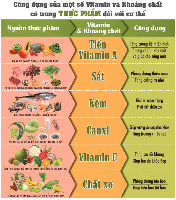 Thực phẩm chứa vitamin và khoáng chất tốt cho sức khỏe - Ảnh minh họa