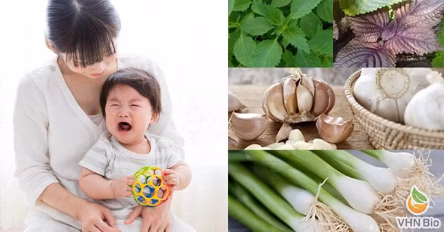 Bác sĩ mách cách chăm sóc người bệnh cảm cúm nhanh khỏi - Ảnh minh họa