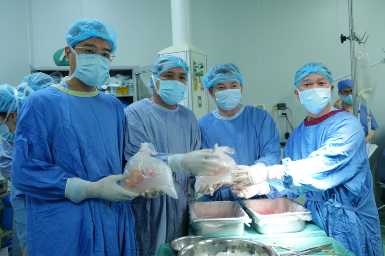 Tạng được lấy ra trước khi thực hiện ghép - Ảnh BVCC