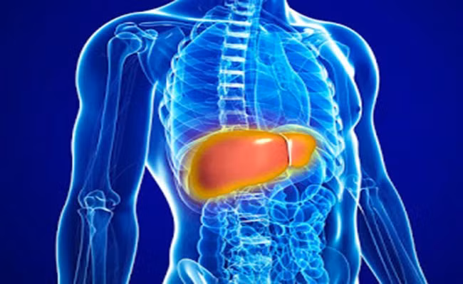 Nguyên nhân gây suy gan mọi người không ngờ tới - Ảnh minh họa