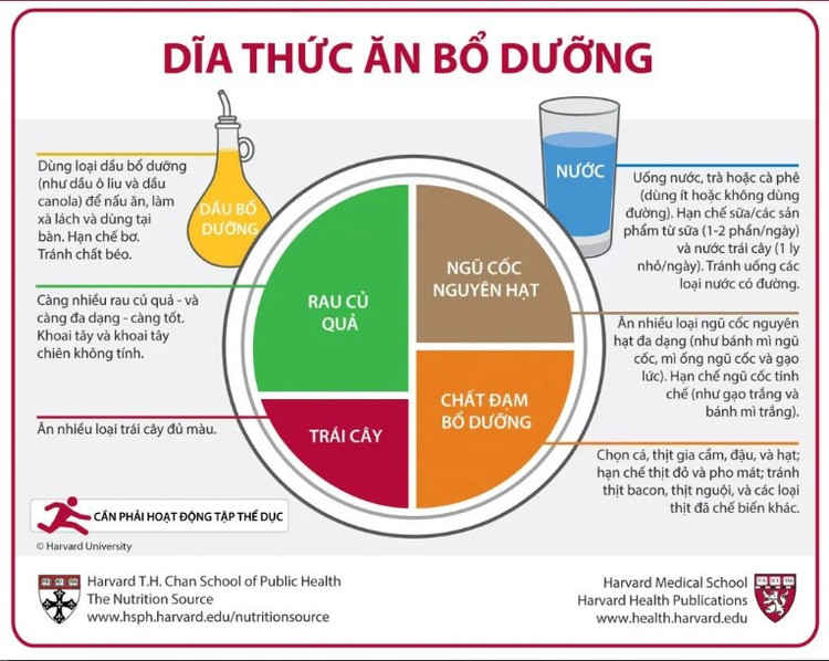 Cách thực hiện khẩu phần ăn cân đối tốt cho sức khỏe