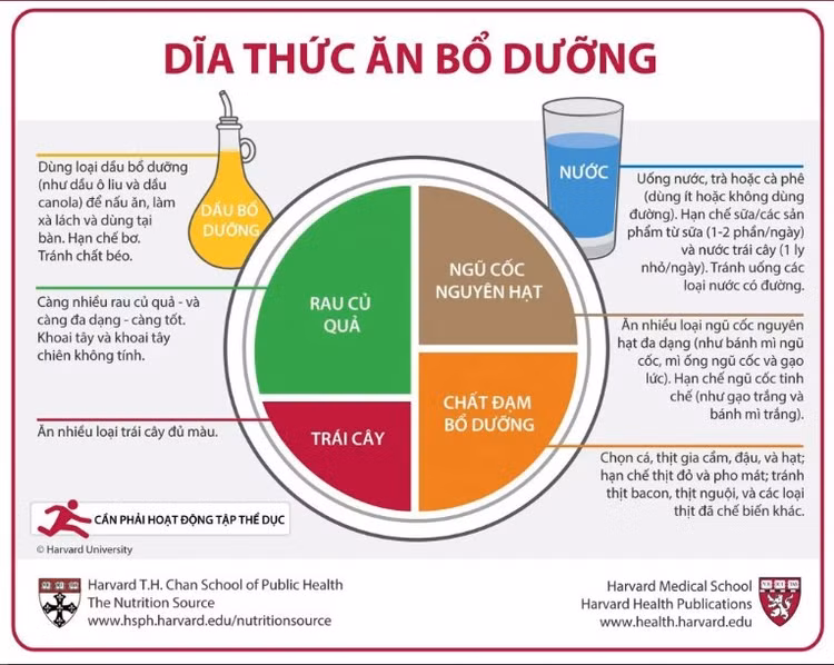 Cách thực hiện khẩu phần ăn cân đối tốt cho sức khỏe Cách thực hiện khẩu phần ăn cân đối tốt cho sức khỏe
