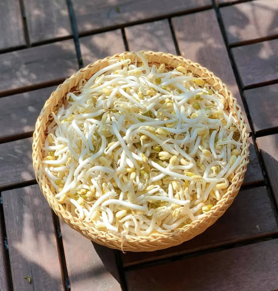 Giá đỗ chứa hàm lượng canxi cao - Ảnh BSCC