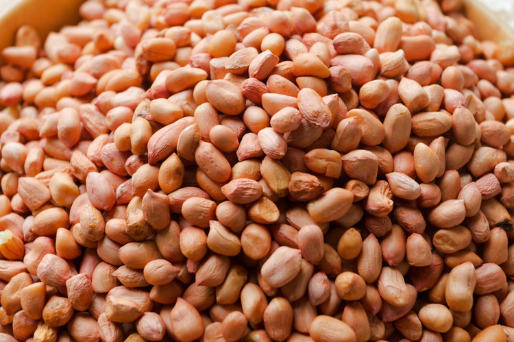 Bất ngờ lạc là &quot;nhân sâm&quot; giới ngũ cốc, chữa nhiều bệnh - Ảnh minh họa