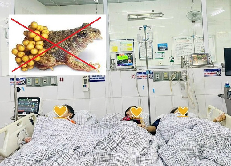 Ba mẹ con phải nhập viện cấp cứu vì ngộ độc thịt và trứng cóc