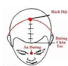 Vị trí huyệt Bách Hội - Ảnh BSCC Vị trí huyệt Bách Hội - Ảnh BSCC