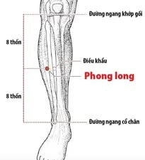 Vị trí huyệt Phong Long - Ảnh BSCC Vị trí huyệt Phong Long - Ảnh BSCC