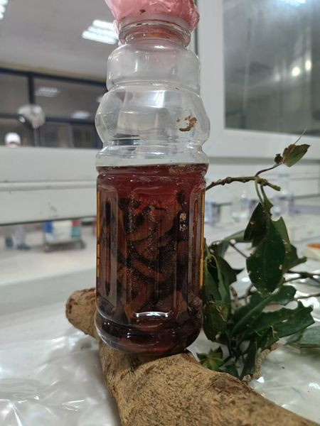 Rượu, rễ cây Hồi hai bệnh nhân đã sử dụng để uống - Ảnh BSCC